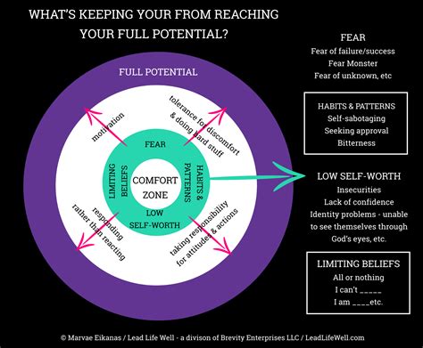 Inner Body Dynamics – Reach Your Body's Maxinum Potential.